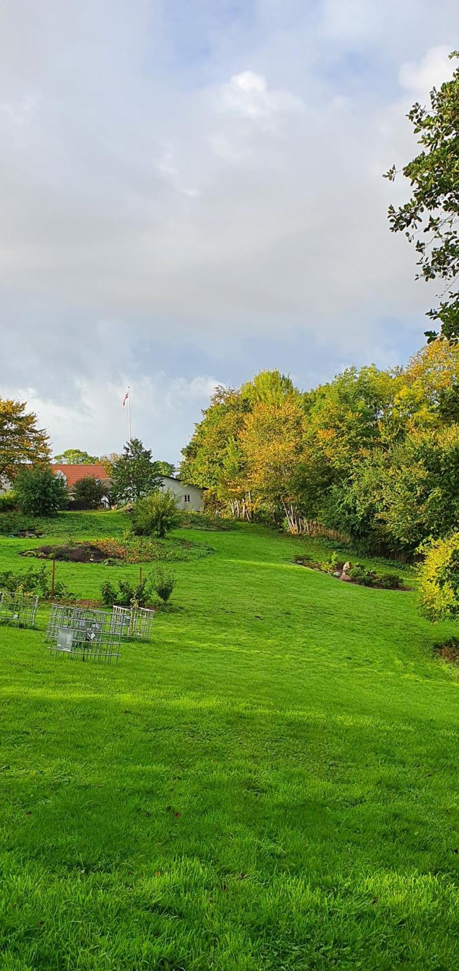 Hos Molsgaarden Bed & Breakfast Knebel Екстериор снимка