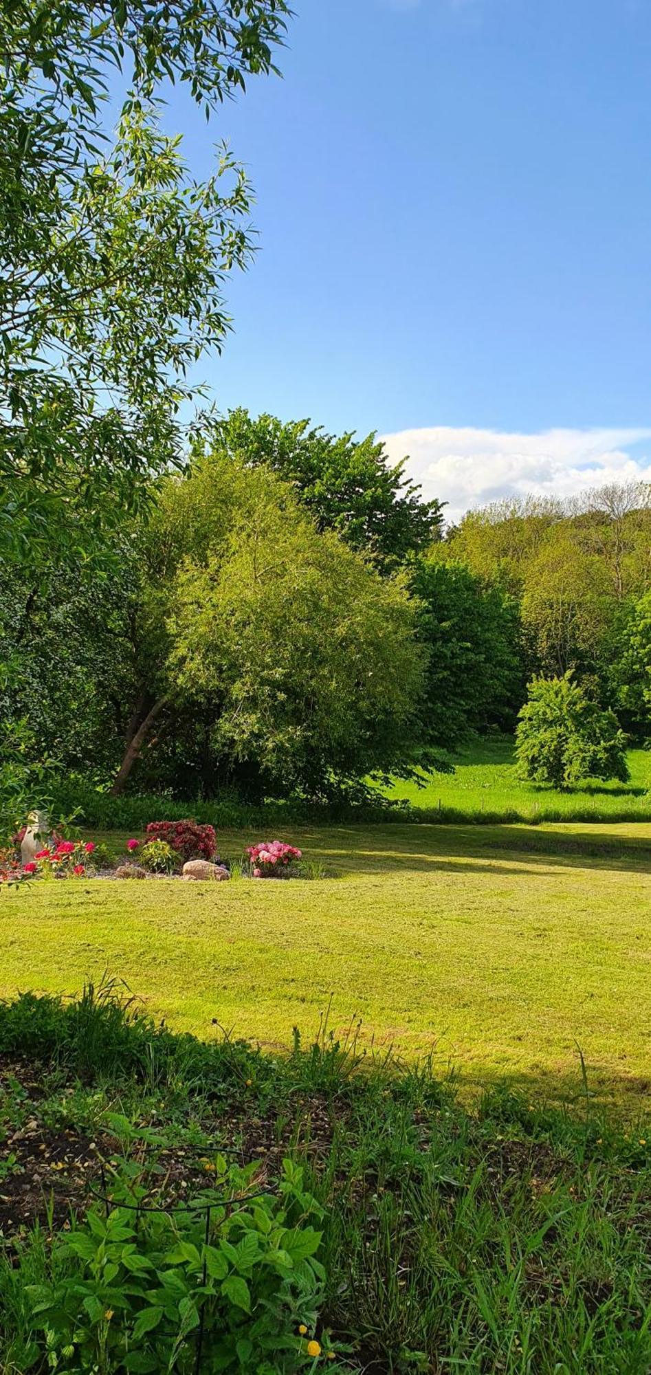 Hos Molsgaarden Bed & Breakfast Knebel Екстериор снимка