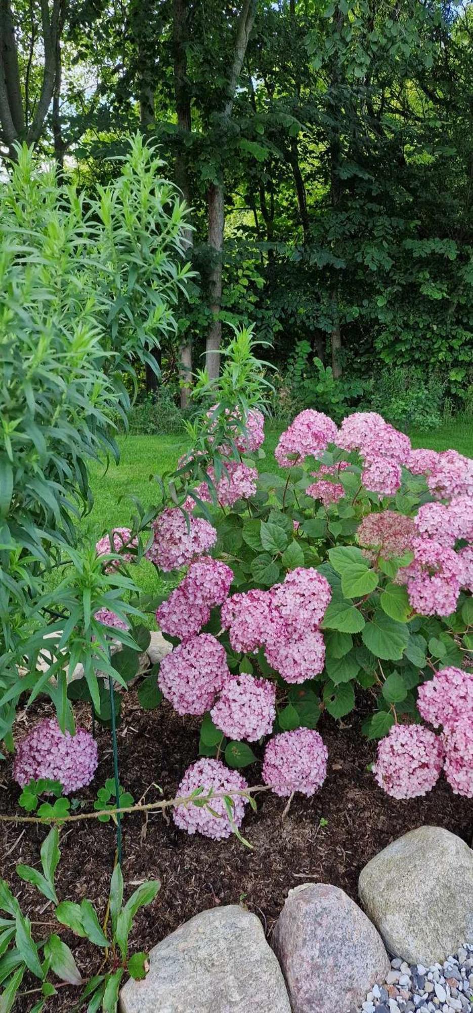 Hos Molsgaarden Bed & Breakfast Knebel Екстериор снимка